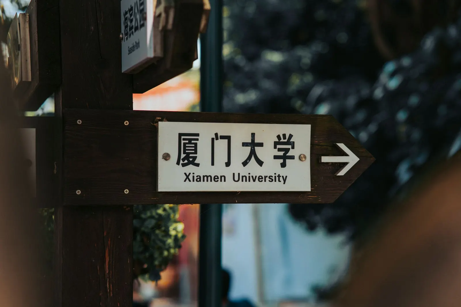 厦门跨境电商独立站建站步骤示意图，展示从域名到自动化运营的全流程